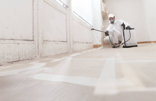 24/7 Emergency Mold Remediation experts in Henderson, MD